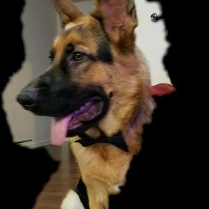 Meet your Posher, Kari